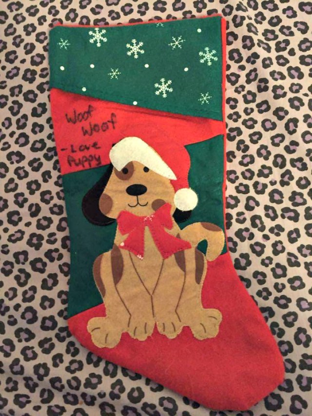 puppy stocking